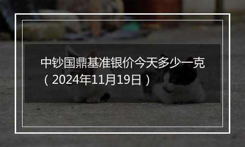 中钞国鼎基准银价今天多少一克（2024年11月19日）