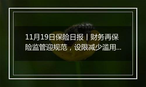 11月19日保险日报丨财务再保险监管迎规范，设限减少滥用空间！4家保险资管公司前三季度合计净赚47亿元