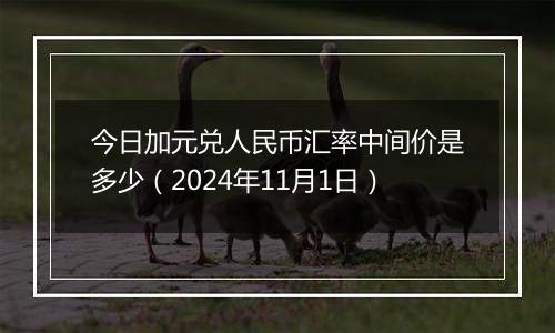 今日加元兑人民币汇率中间价是多少（2024年11月1日）