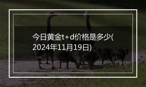 今日黄金t+d价格是多少(2024年11月19日)