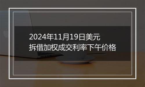 2024年11月19日美元拆借加权成交利率下午价格