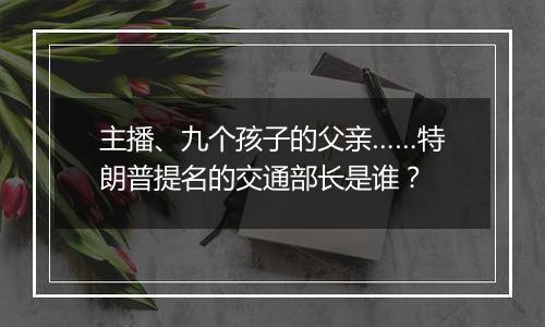 主播、九个孩子的父亲……特朗普提名的交通部长是谁？