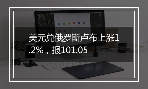 美元兑俄罗斯卢布上涨1.2%，报101.05