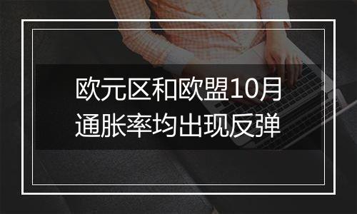 欧元区和欧盟10月通胀率均出现反弹