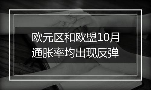 欧元区和欧盟10月通胀率均出现反弹