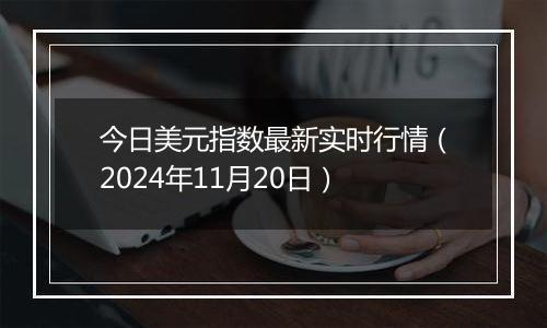 今日美元指数最新实时行情（2024年11月20日）