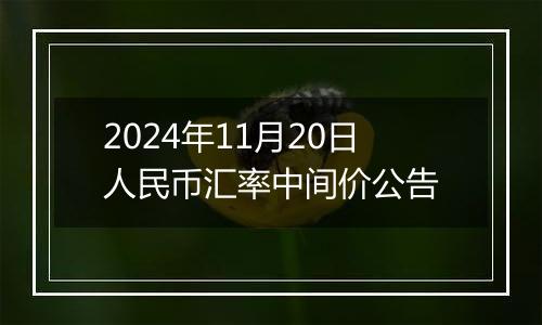 2024年11月20日人民币汇率中间价公告