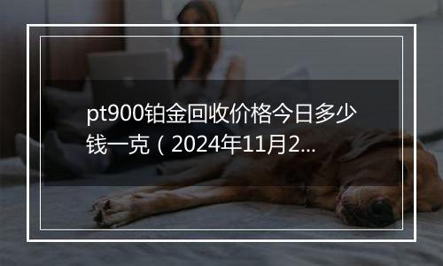 pt900铂金回收价格今日多少钱一克（2024年11月20日）