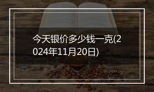 今天银价多少钱一克(2024年11月20日)