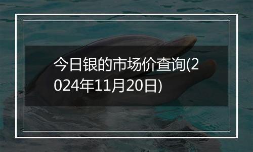 今日银的市场价查询(2024年11月20日)