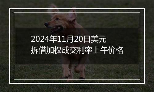 2024年11月20日美元拆借加权成交利率上午价格