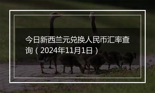 今日新西兰元兑换人民币汇率查询（2024年11月1日）