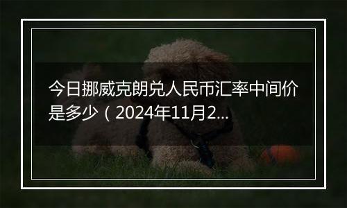 今日挪威克朗兑人民币汇率中间价是多少（2024年11月20日）