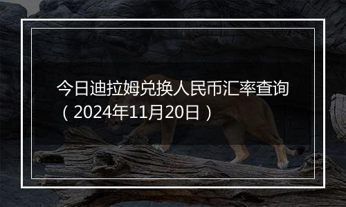 今日迪拉姆兑换人民币汇率查询（2024年11月20日）