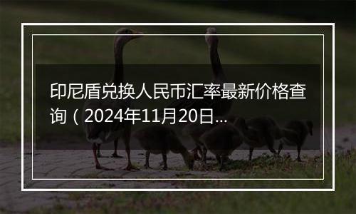 印尼盾兑换人民币汇率最新价格查询（2024年11月20日）