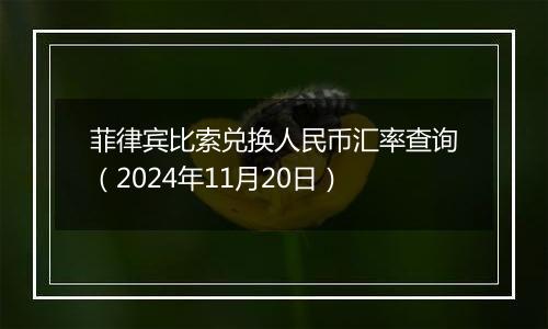 菲律宾比索兑换人民币汇率查询（2024年11月20日）