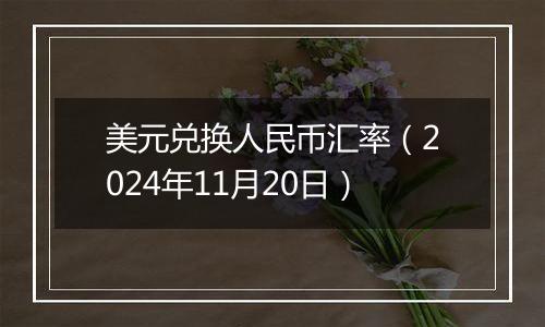 美元兑换人民币汇率（2024年11月20日）