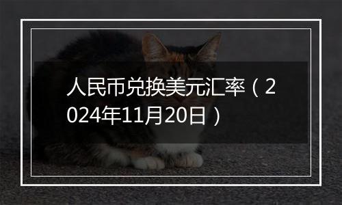 人民币兑换美元汇率（2024年11月20日）