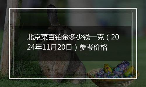 北京菜百铂金多少钱一克（2024年11月20日）参考价格