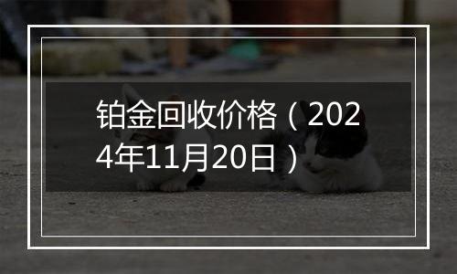 铂金回收价格（2024年11月20日）