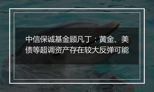 中信保诚基金顾凡丁：黄金、美债等超调资产存在较大反弹可能