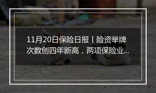 11月20日保险日报丨险资举牌次数创四年新高，两项保险业标准出炉，规范人身险和车险理赔服务