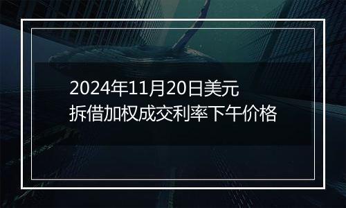 2024年11月20日美元拆借加权成交利率下午价格