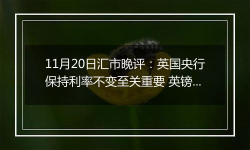 11月20日汇市晚评：英国央行保持利率不变至关重要 英镑/美元涨势维持在1.27附近