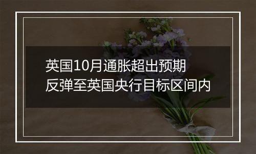 英国10月通胀超出预期 反弹至英国央行目标区间内