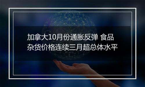 加拿大10月份通胀反弹 食品杂货价格连续三月超总体水平