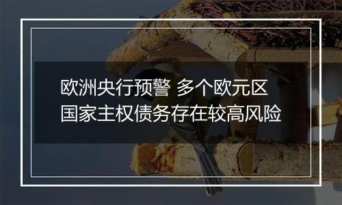 欧洲央行预警 多个欧元区国家主权债务存在较高风险