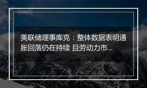 美联储理事库克：整体数据表明通胀回落仍在持续 且劳动力市场逐渐降温