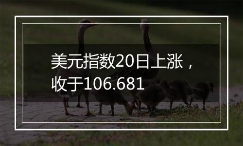 美元指数20日上涨，收于106.681