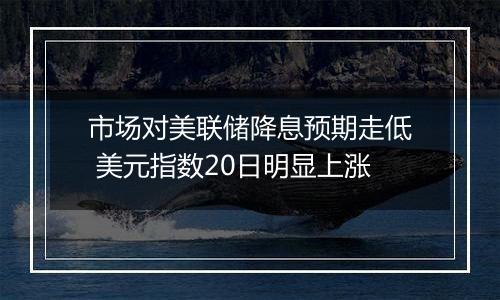 市场对美联储降息预期走低 美元指数20日明显上涨