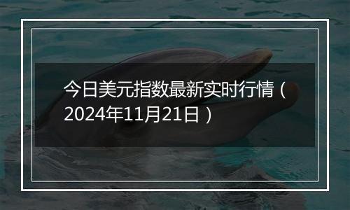 今日美元指数最新实时行情（2024年11月21日）