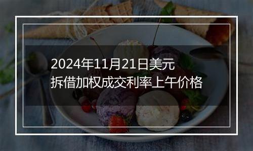 2024年11月21日美元拆借加权成交利率上午价格