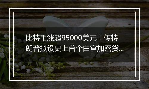 比特币涨超95000美元！传特朗普拟设史上首个白宫加密货币职位