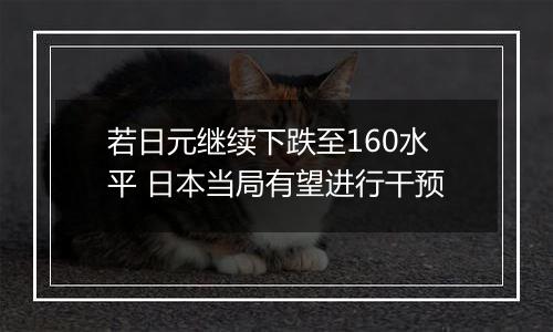 若日元继续下跌至160水平 日本当局有望进行干预