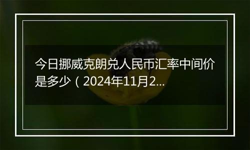 今日挪威克朗兑人民币汇率中间价是多少（2024年11月21日）