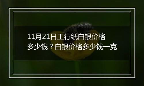 11月21日工行纸白银价格多少钱？白银价格多少钱一克