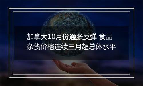 加拿大10月份通胀反弹 食品杂货价格连续三月超总体水平