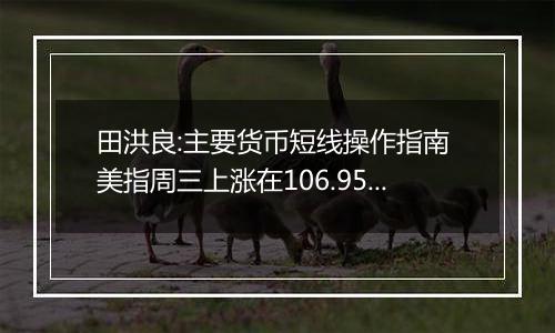 田洪良:主要货币短线操作指南 美指周三上涨在106.95之下遇阻