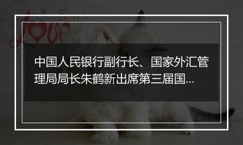 中国人民银行副行长、国家外汇管理局局长朱鹤新出席第三届国际金融领袖投资峰会