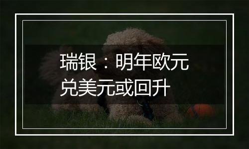 瑞银：明年欧元兑美元或回升