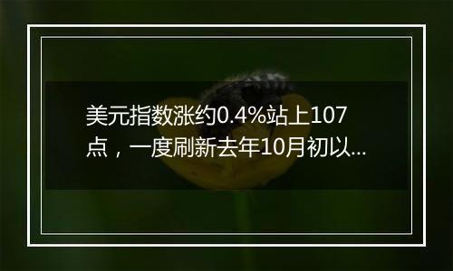 美元指数涨约0.4%站上107点，一度刷新去年10月初以来最高位