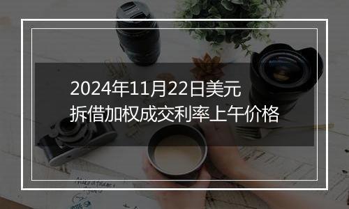 2024年11月22日美元拆借加权成交利率上午价格