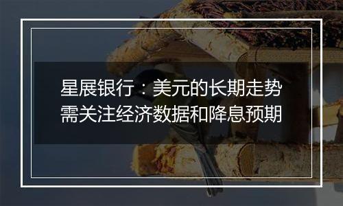 星展银行：美元的长期走势需关注经济数据和降息预期