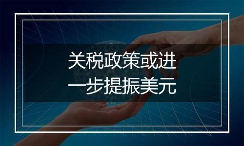 关税政策或进一步提振美元