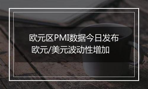 欧元区PMI数据今日发布 欧元/美元波动性增加