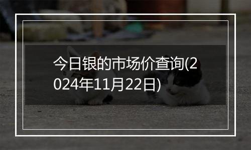 今日银的市场价查询(2024年11月22日)